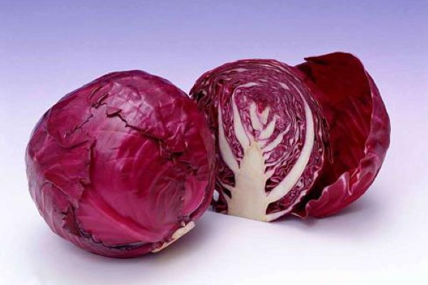 راهنمای خرید کلم پیچ بنفش + قیمت عالی